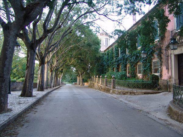 Inn Golegã Buitenkant foto