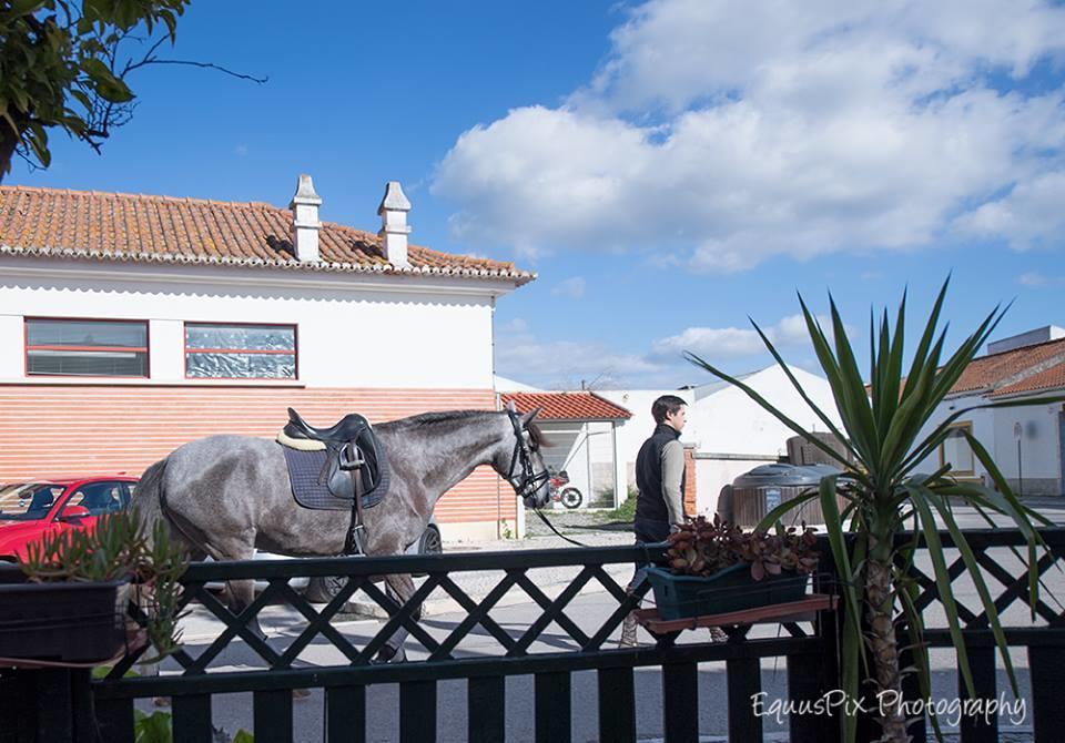 Inn Golegã Buitenkant foto
