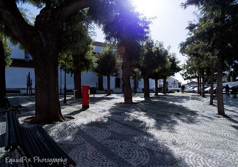 Inn Golegã Buitenkant foto
